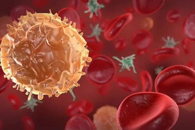 Leucemia, immagine simbolo (foto da Google)