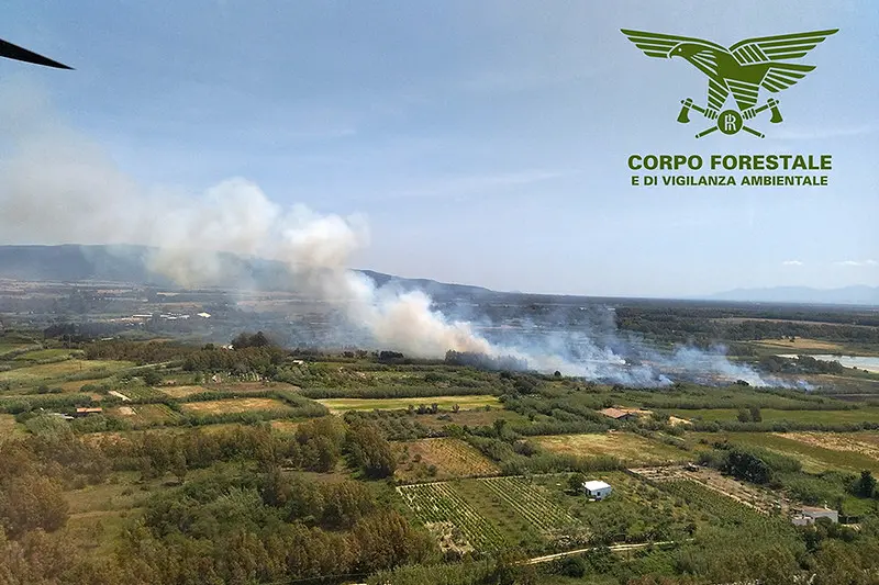 The fire in Santa Giusta (photo by the Forestry Corps)