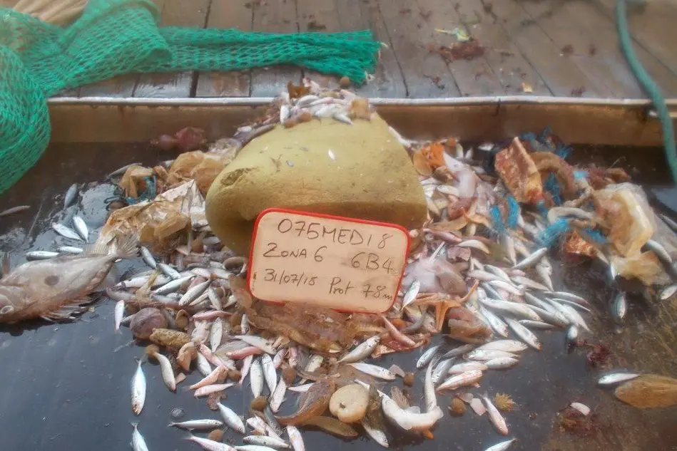 Rifiuti con pesci catturati in profondità (foto @UniCa)