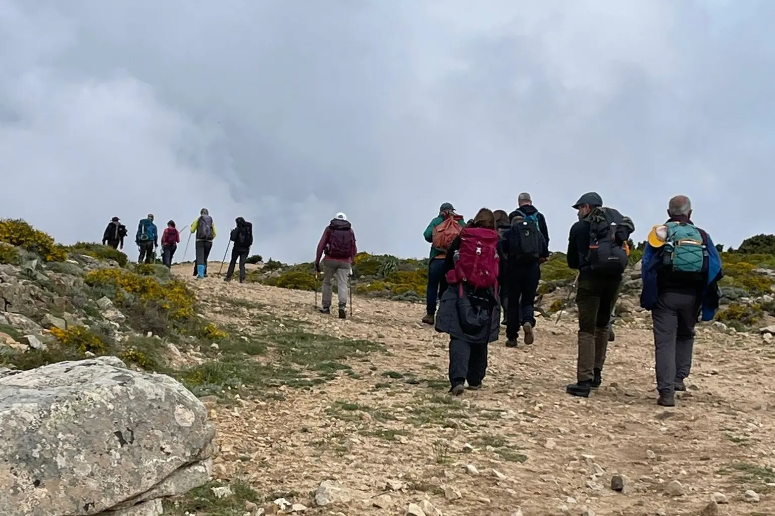 Escursionisti in cammino per &quot;La Montagna unisce&quot; (Foto: Lai)