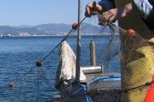 Pescatore (foto Tellini)