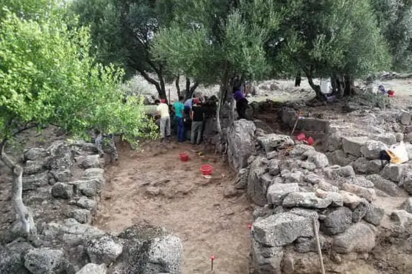 Gli scavi nel sito archeologico (Ansa)