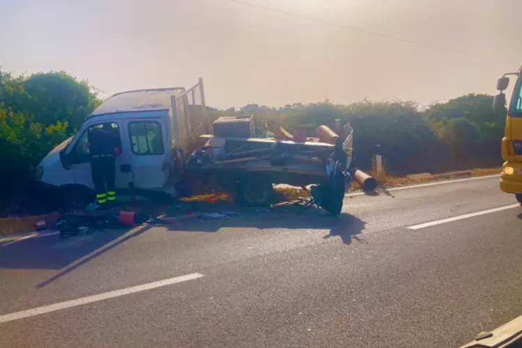 Il camion finito in cunetta (foto Pala)