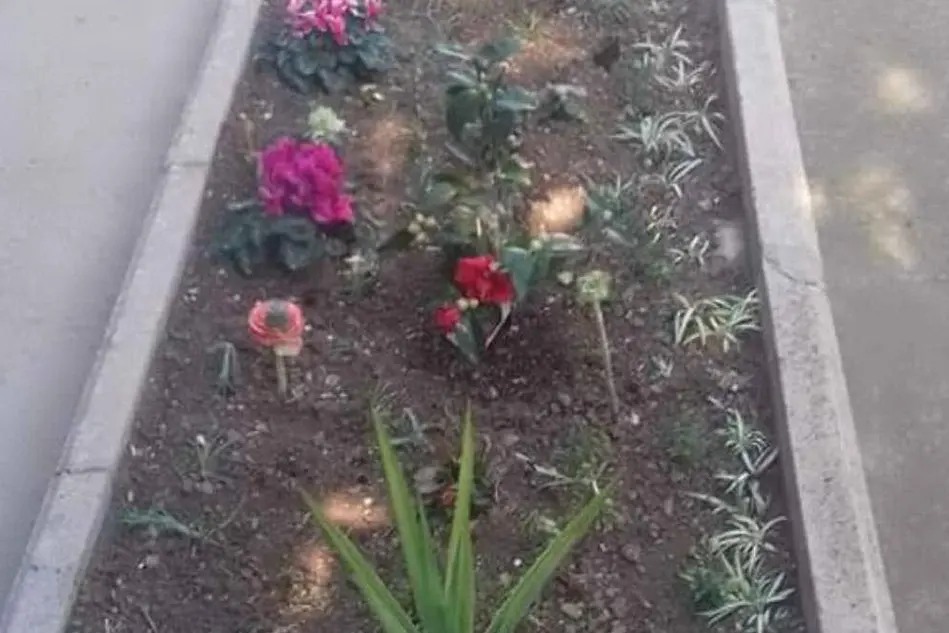 Le aiuole fiorite all'interno del cimitero