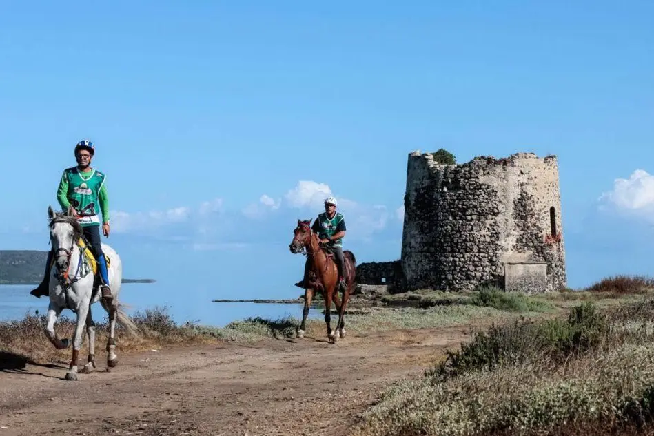 Una fase del Sardegna endurance (foto Michele Ardu)