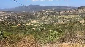 https://immagini.unionesarda.it/version/c:ZDhkZTMyNDAtNzMyNS00:MzgzYmI4ODktMDQ0My00/image.webp?f=16:9
