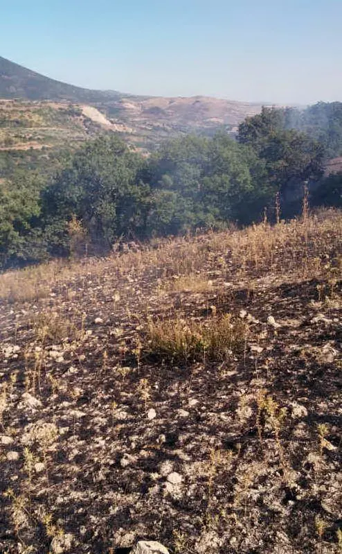 L'area percorsa dall'incendio (foto L'Unione Sarda - Pintori)