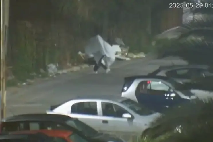 Il "fantasma" ripreso dalle telecamere (Ansa)