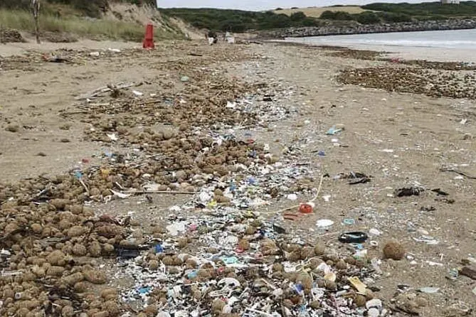 La plastica in spiaggia (Foto S.Pinna)