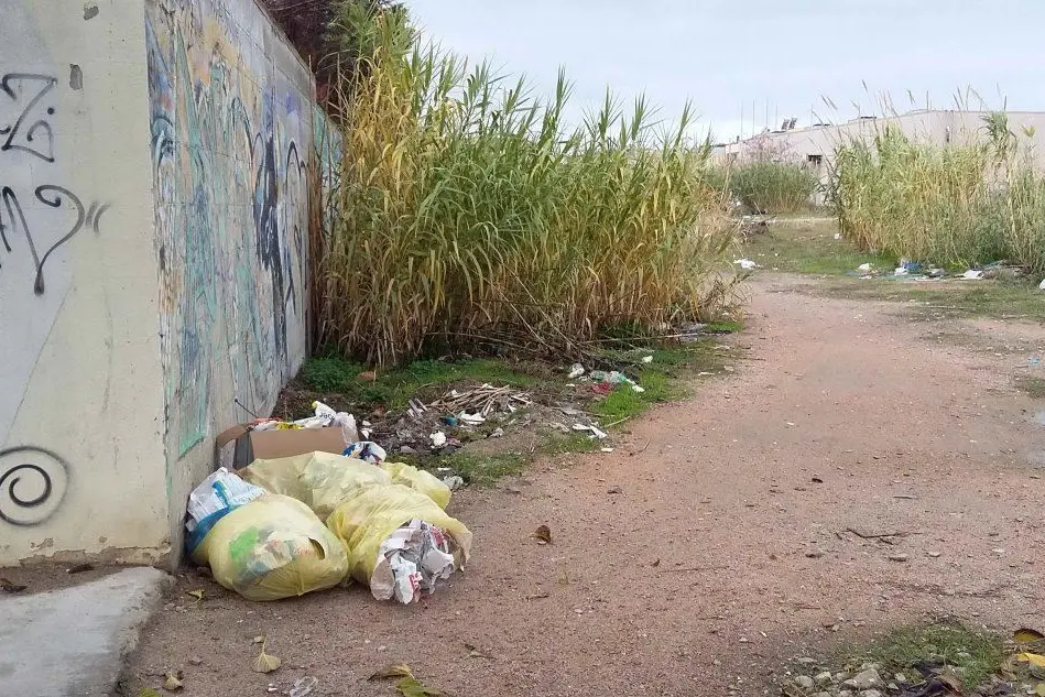 Immondizia al cimitero