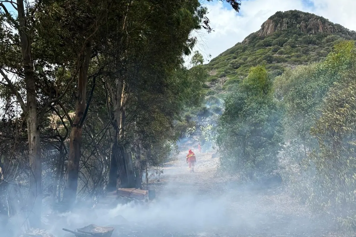 L'incendio (foto Comune di Bosa)