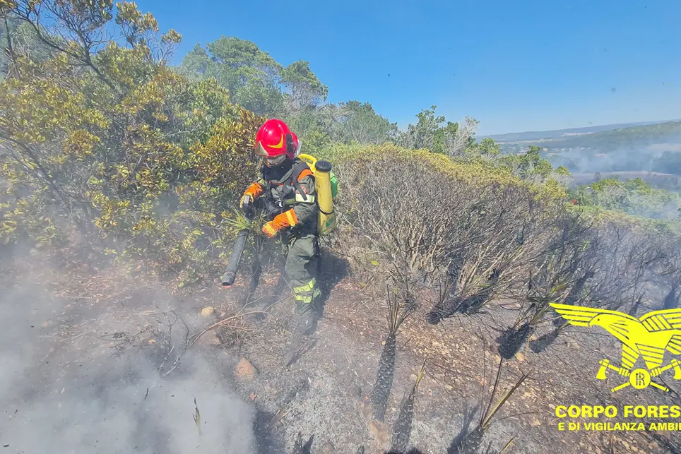 Incendio, immagine di repertorio (foto Corpo forestale)