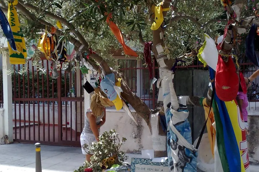 L'albero della pace in via D'Amelio (foto Wikipedia)