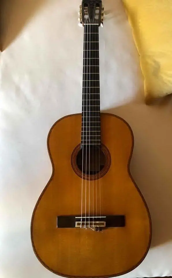 Una chitarra uguale a quella rubata (foto Facebook)