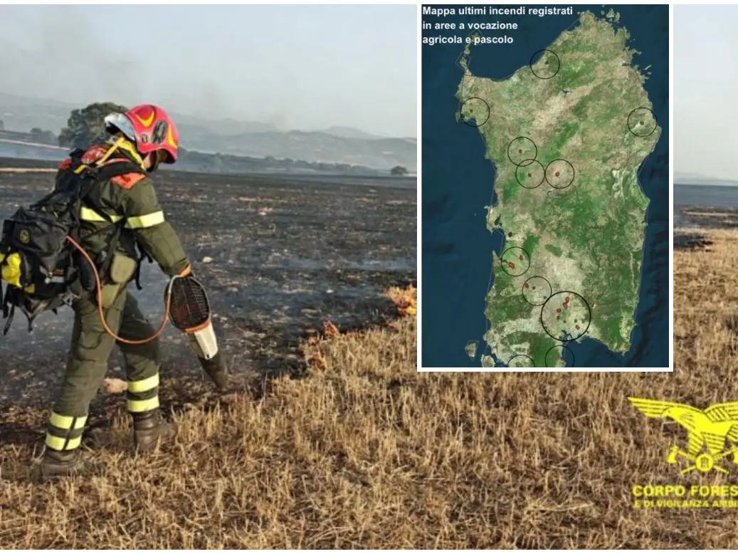 Sardinia in flames, Coldiretti: "1,200 fires since the beginning of the year, with damages totaling €10 million in July alone."