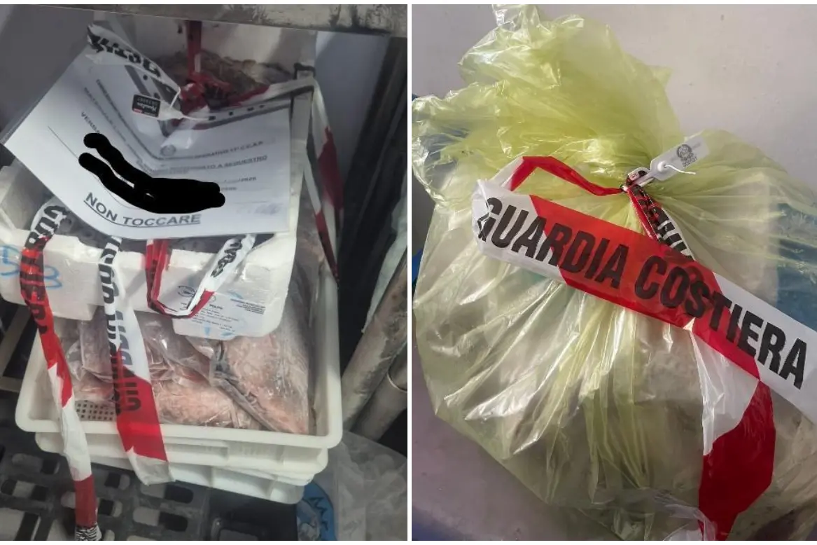 I prodotti ittici sequestrati nel Cagliaritano dalla Guardia Costiera