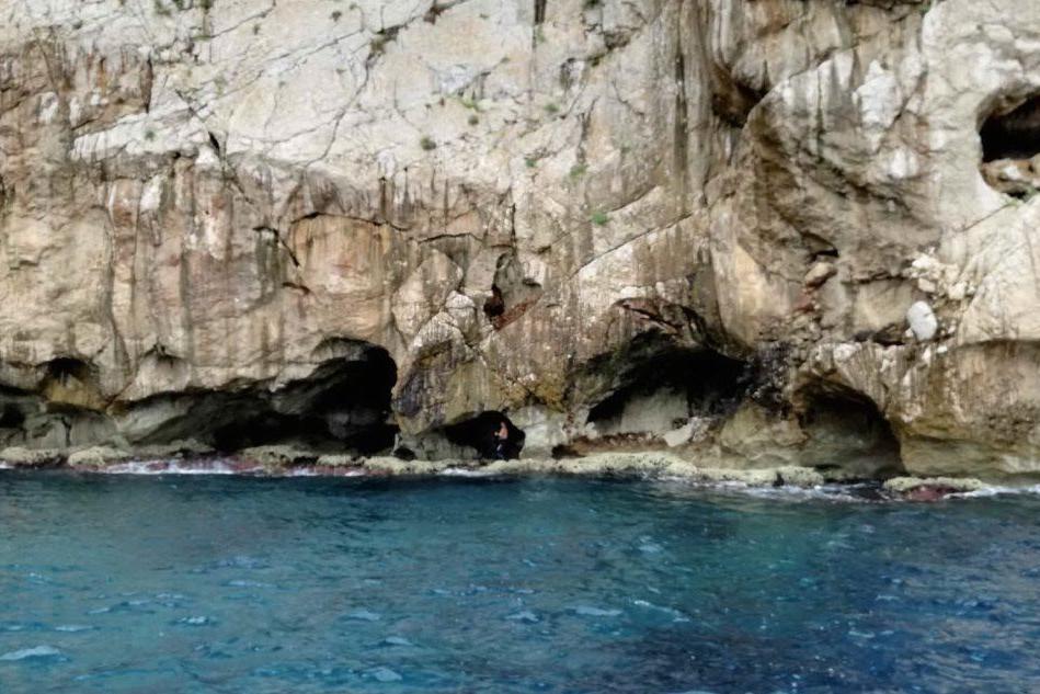 Alghero, sub disperso ritrovato in una grotta