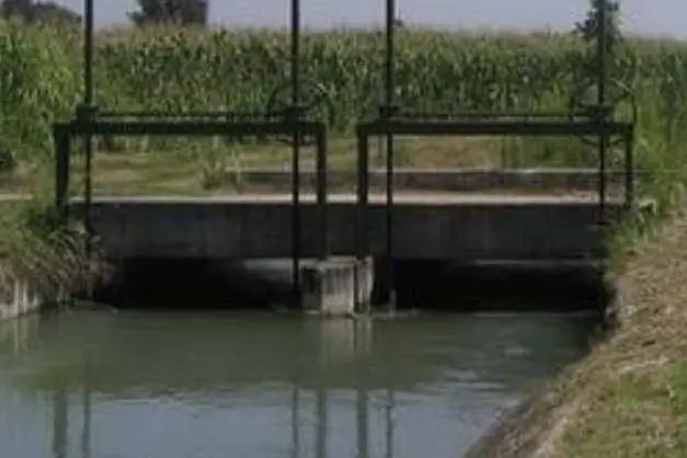 Un canale del Consorzio ad Arborea (Foto E.Sanna)