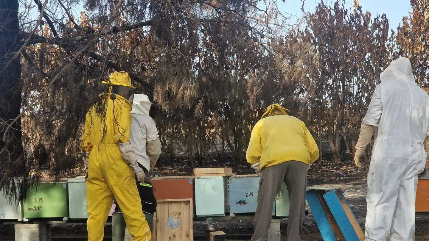 Opposizione critica per ritardi nei ristori post incendio, Comune chiede supporto regionale