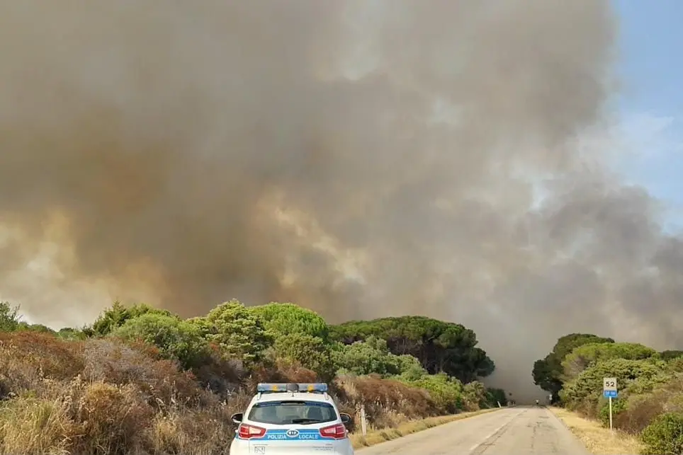 L'incendio ad Aglientu (Foto: Andrea Busia)