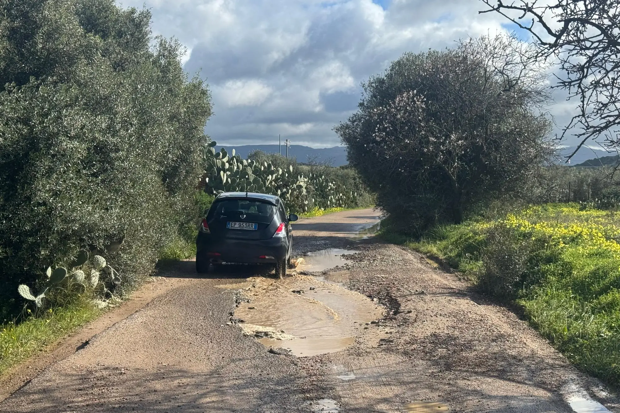 La strada di Su Pranu (foto Serreli)