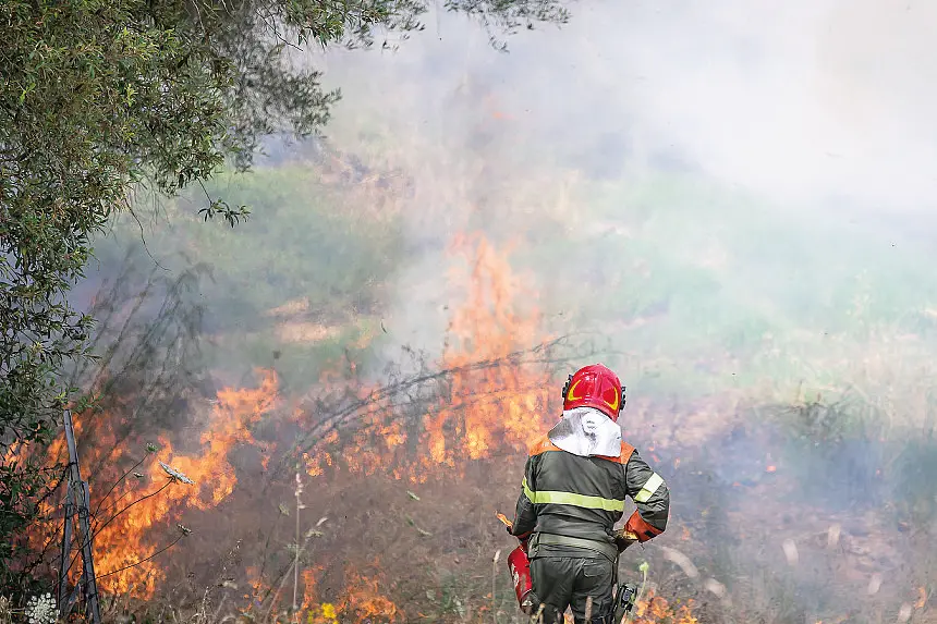 La Forestale all’opera per domare un incendio