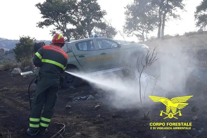 Gli agenti del corpo forestale impegnati durante lo spegnimento di un incendio