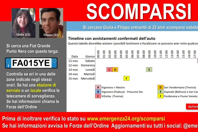 La foto pubblicata per le ricerche (Ansa)