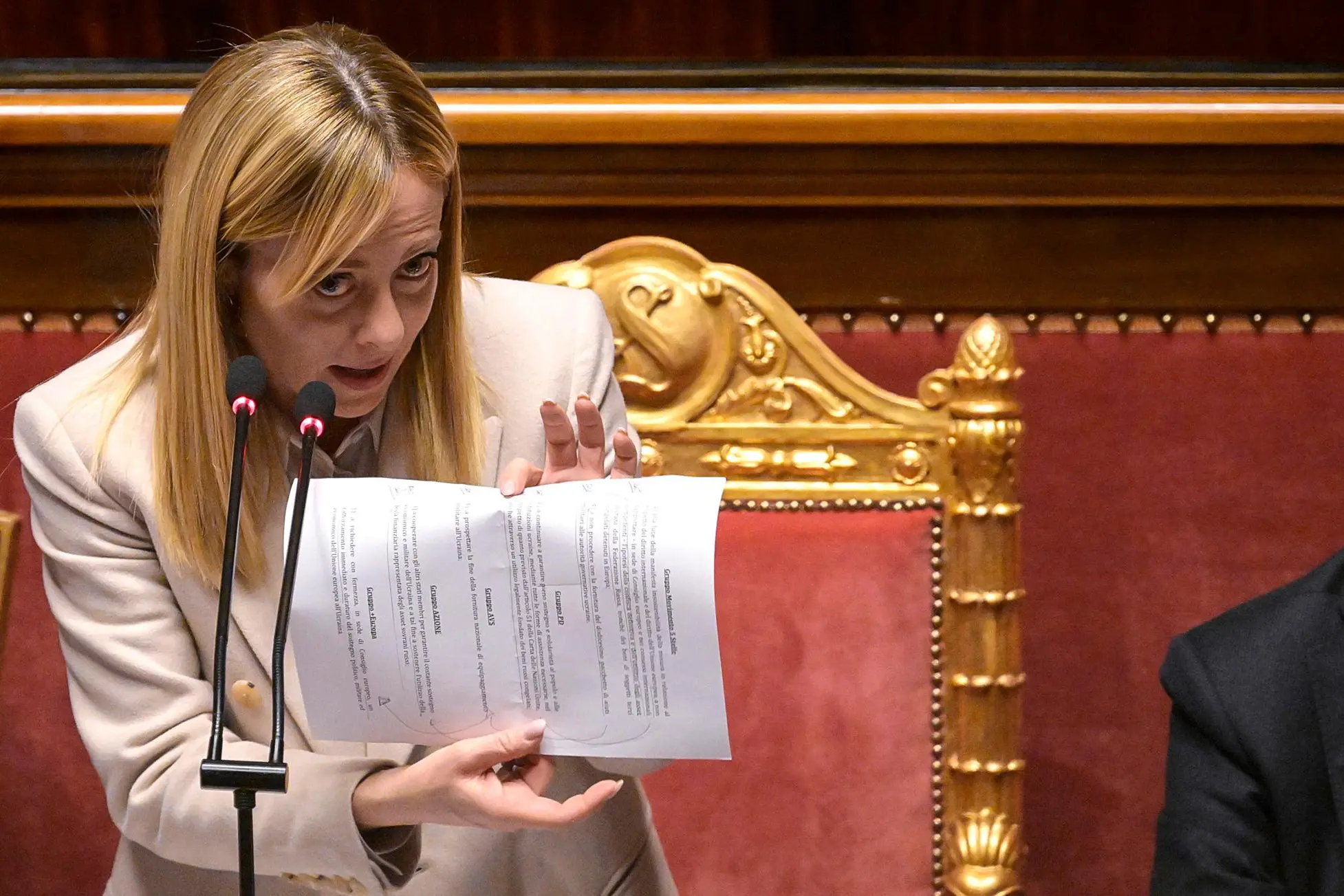Giorgia Meloni in Senato (Ansa)