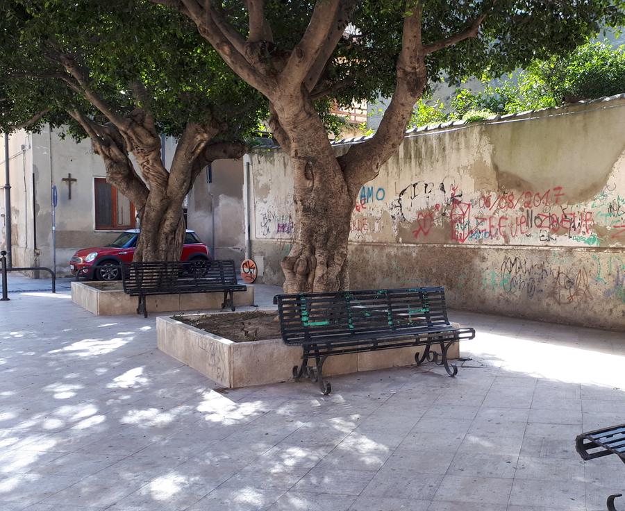 Siringhe nelle aiuole di piazza Sant’Efisio