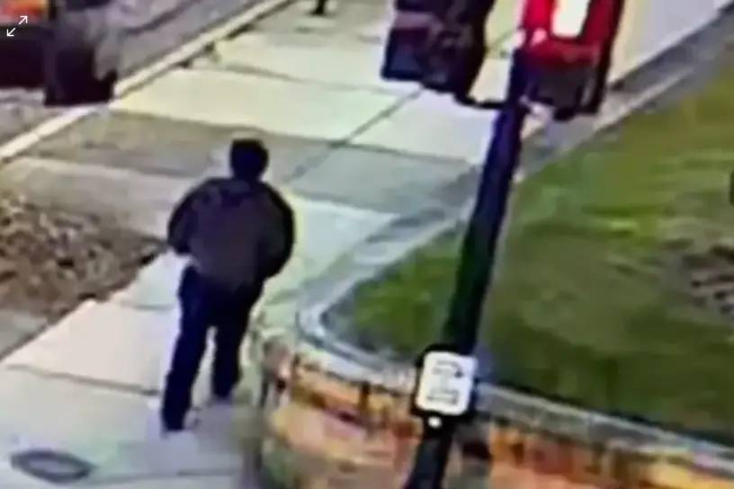 Il presunto attentatore (Foto Ansa)