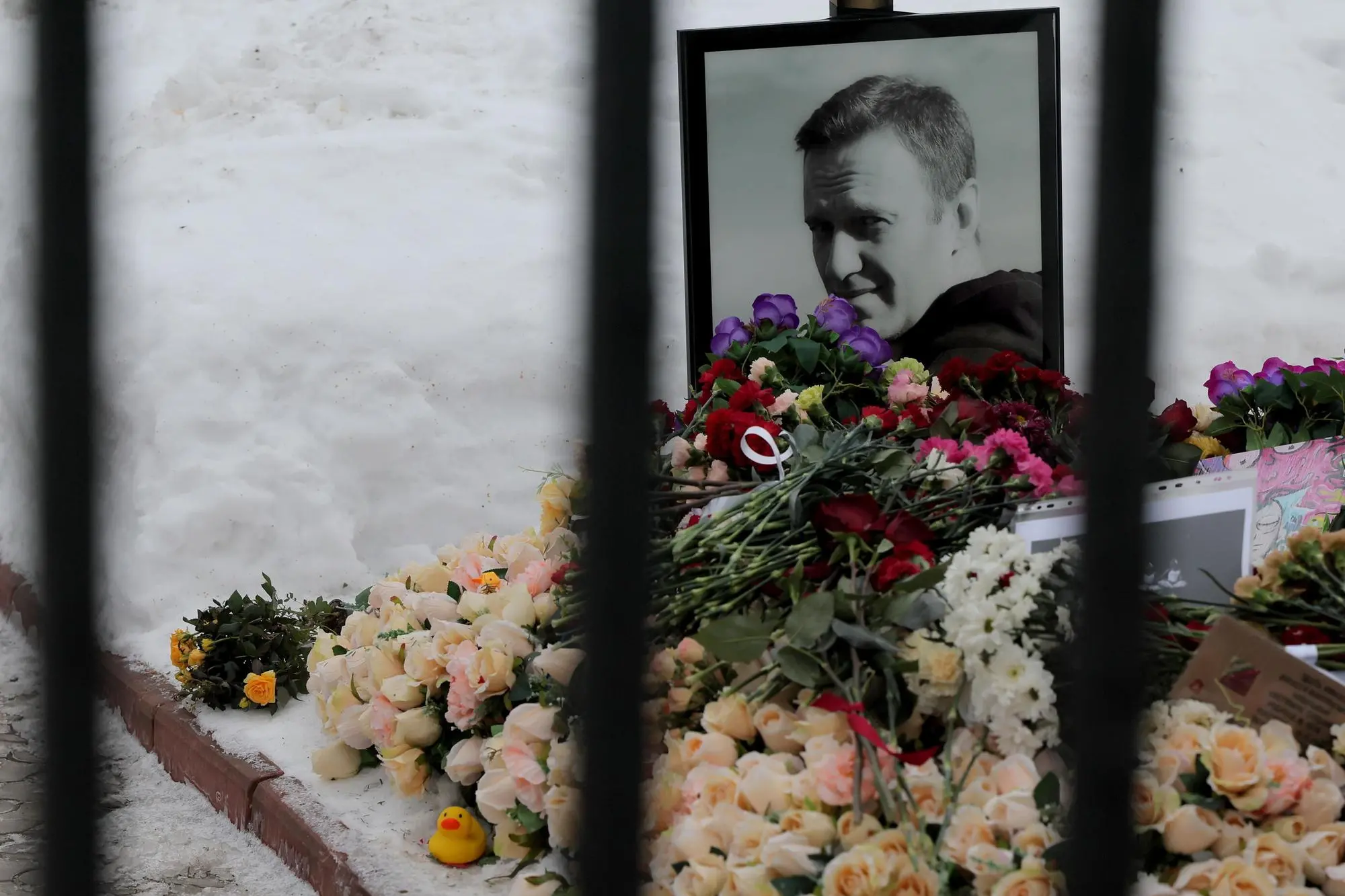 La tomba di Alexei Navalny (Ansa-Epa)