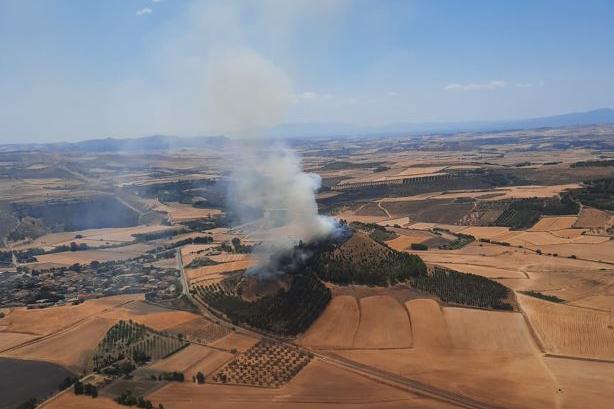 L'incendio a Las Plassas (foto Corpo forestale)