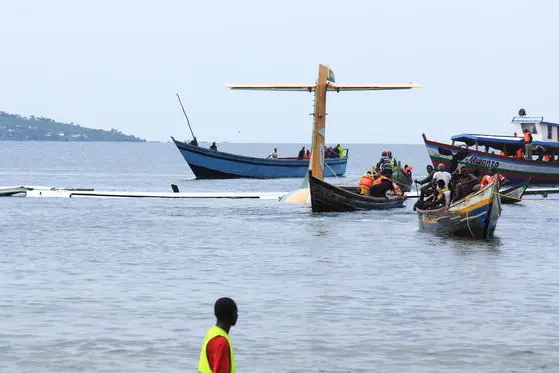 L'aereo precipitato in Tanzania (Ansa - Epa)