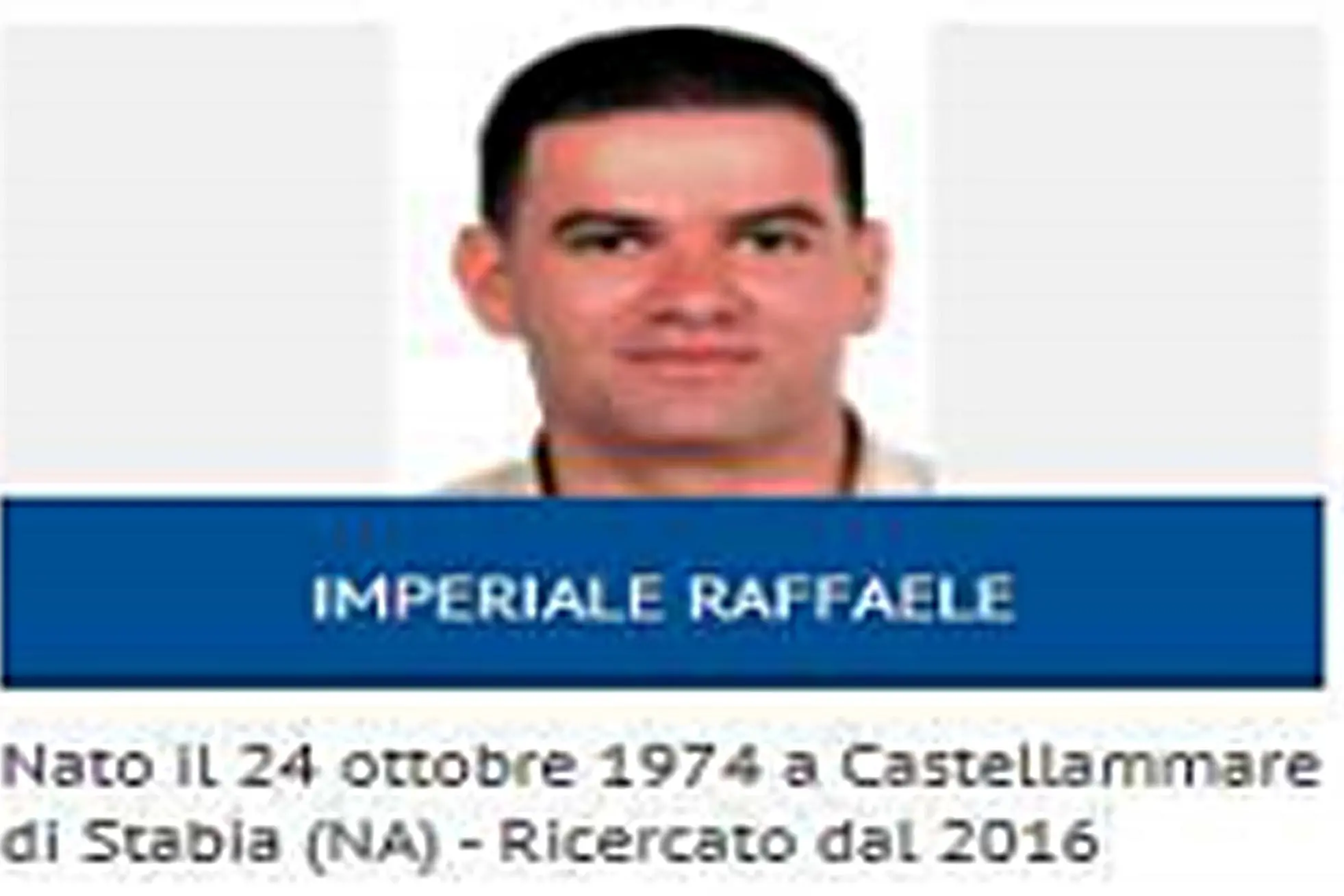 Raffaele Imperiale (Ansa)
