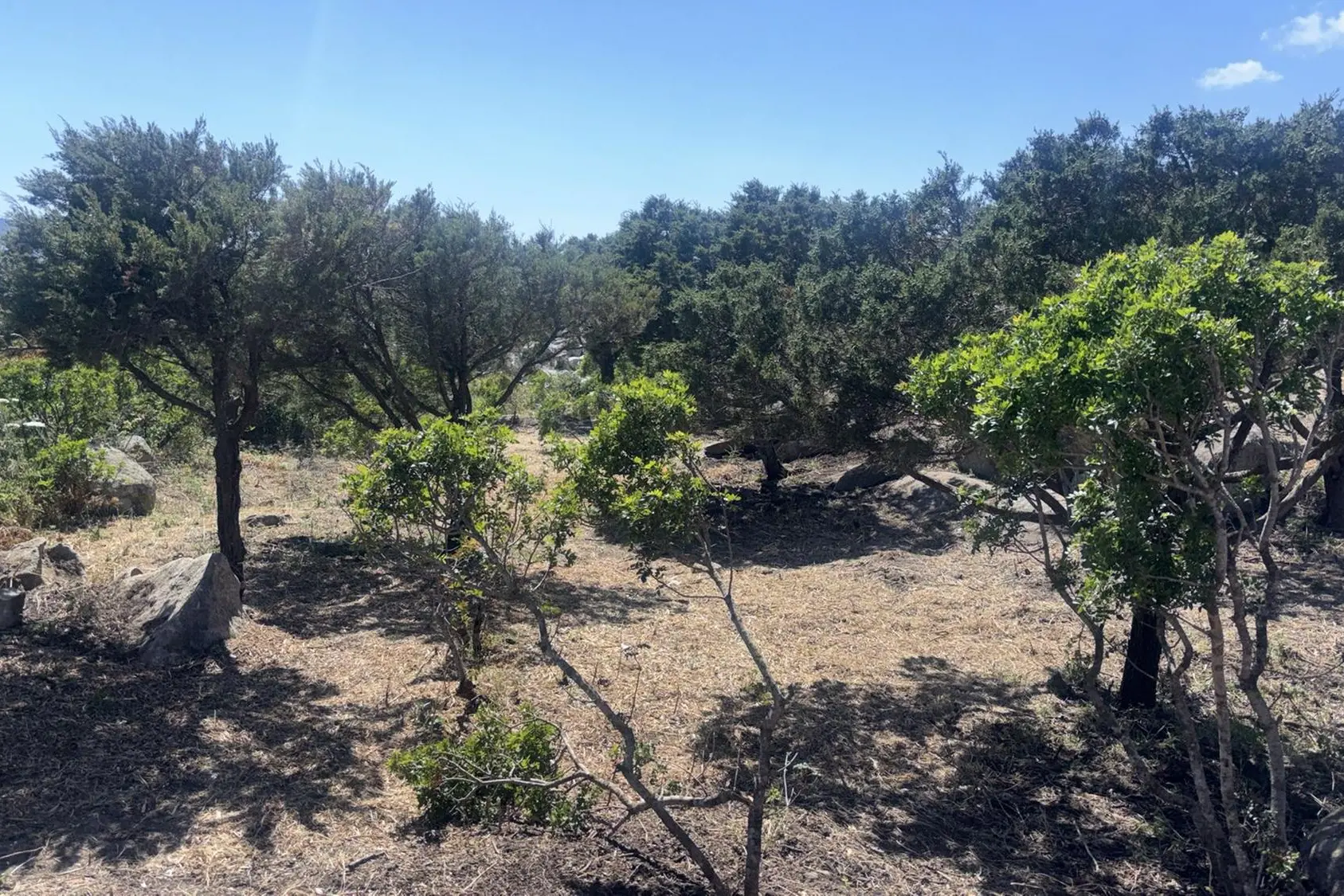 L'area finita al centro della multa della Forestale (L'Unione Sarda)