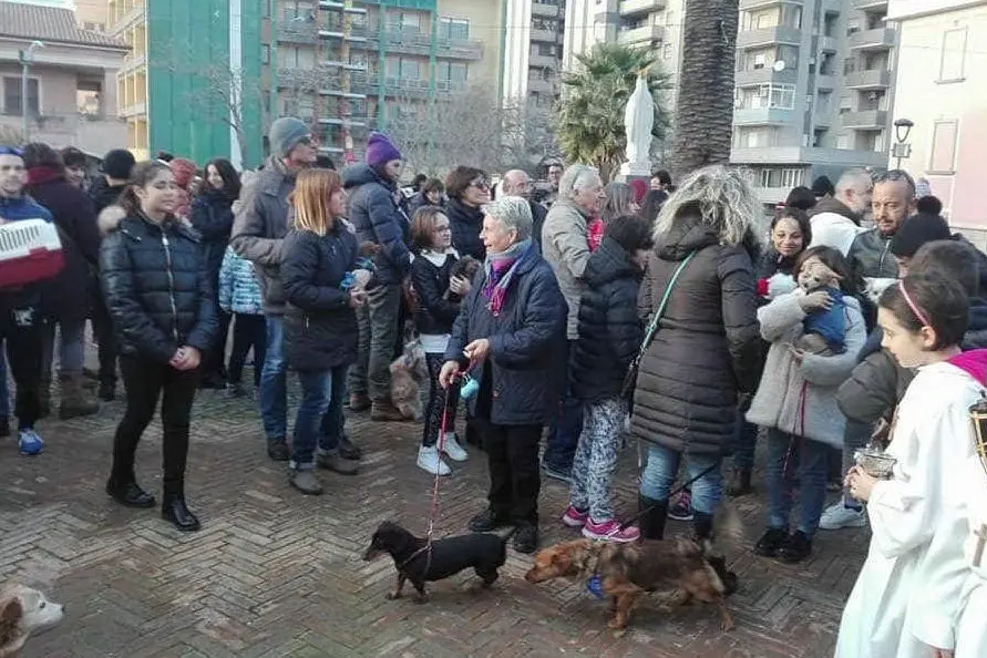 : Sant’Antonio Abate: domani la benedizione degli animali dai frati Cappuccini (Foto Valeria Pinna)