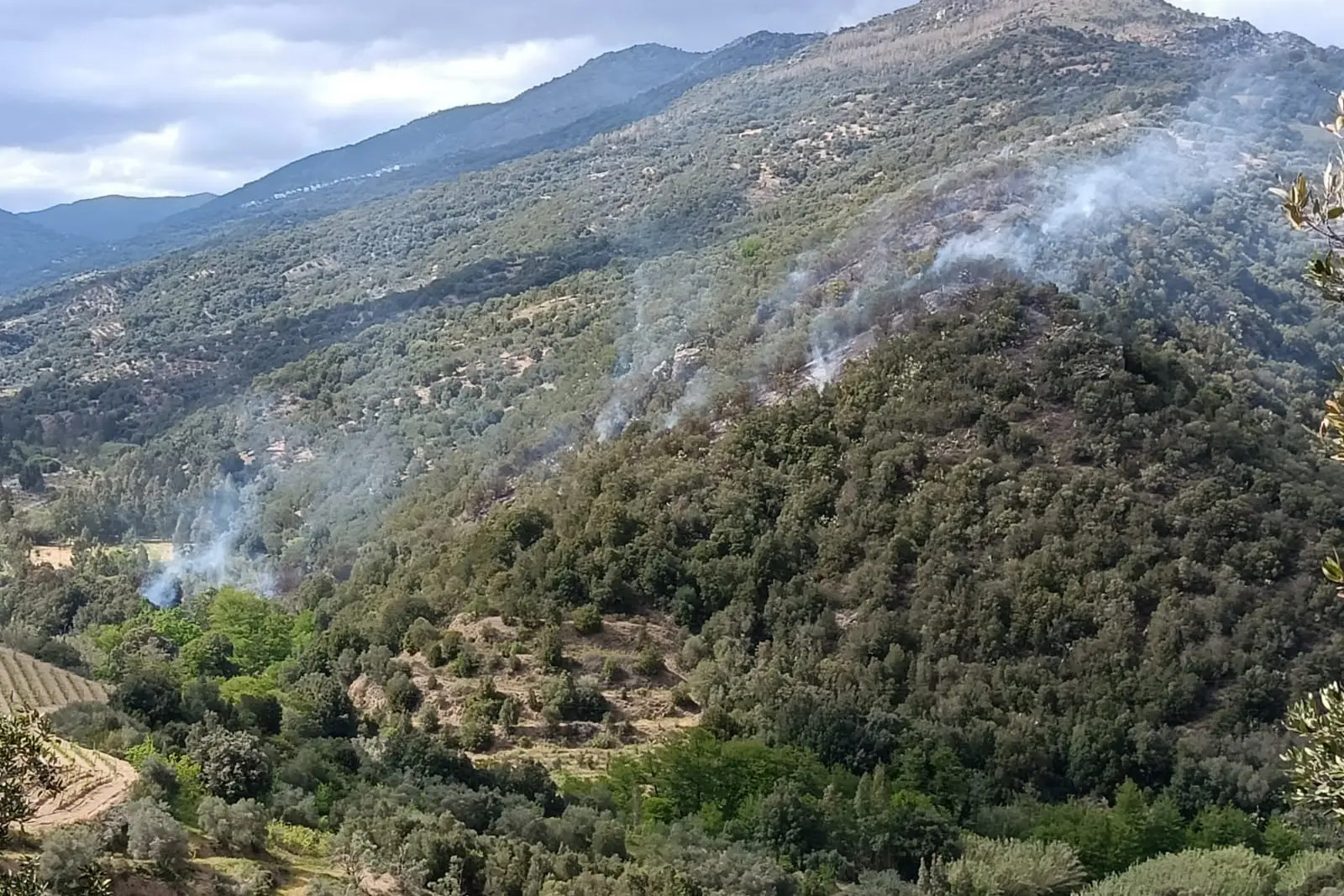 Il crinale attraversato dal fuoco visto da Genna 'e Cresia (foto concessa)