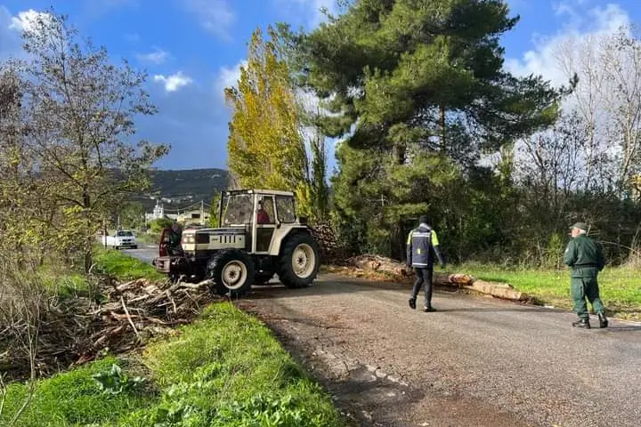 La rimozione di un albero caduto nella zona industriale di Muros (foto concessa)