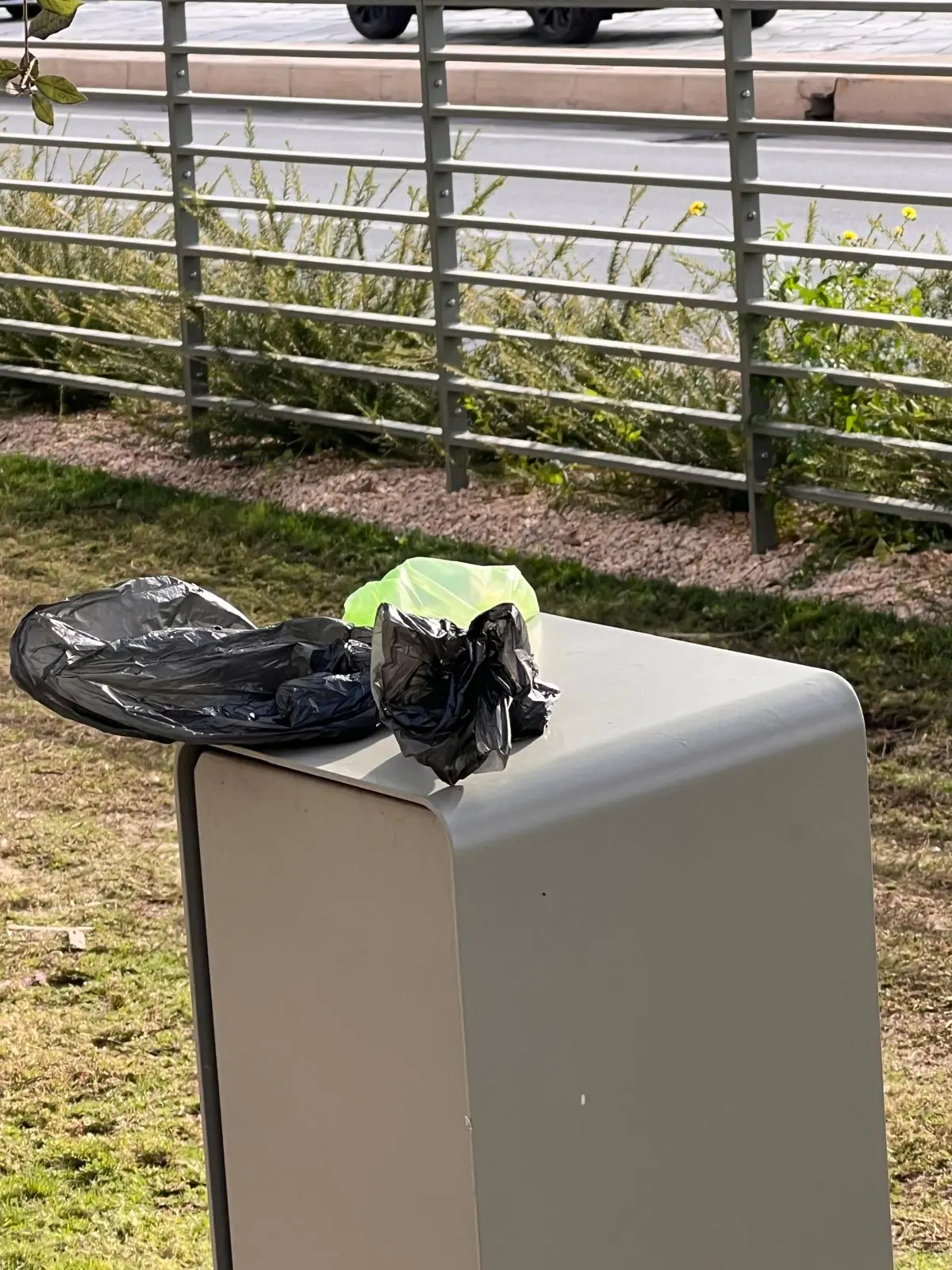 Cagliari, l'area cani in via Roma (Foto Fr.Me.)