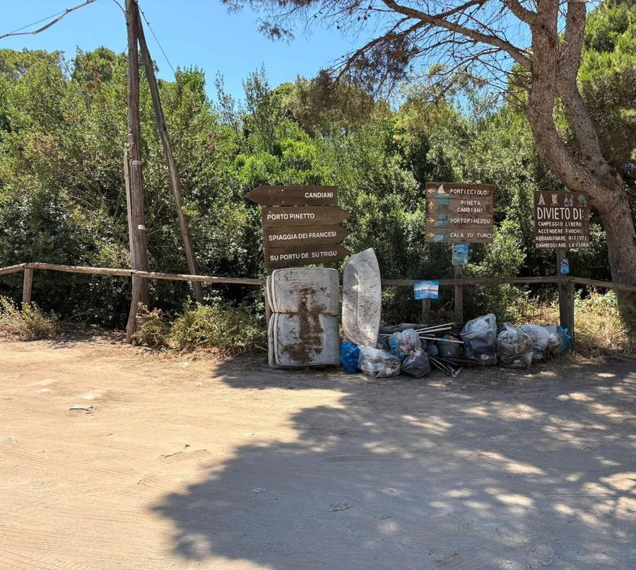 Volontari per l’ambiente