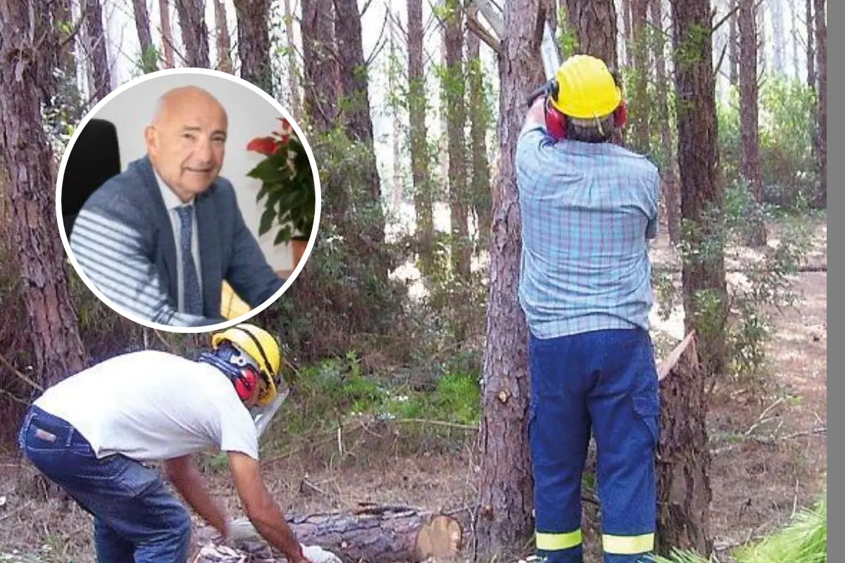 Salvatore Piras contesta la decadenza dalla nomina di amministratore unico di Forestas