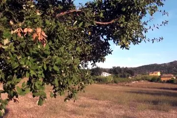 A Monti non piove da aprile: il Comune dichiara lo stato di calamità naturale