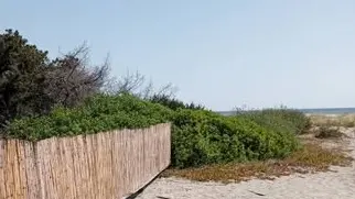 https://immagini.unionesarda.it/version/c:ZGNmYTNjM2YtOTc4ZS00:MDBhNDVmZmQtMTg4Ny00/image.webp?f=16:9