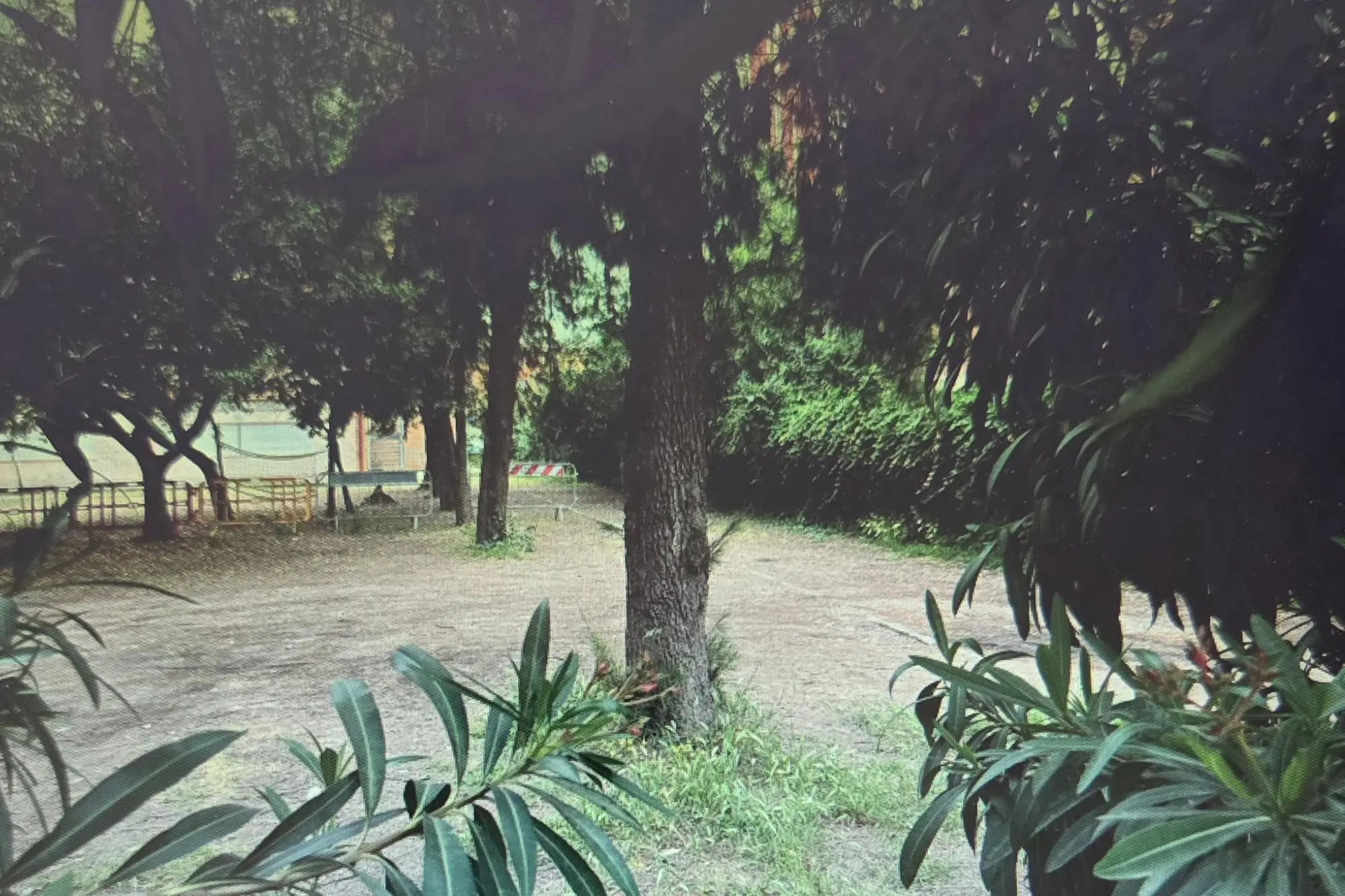 Il giardino della scuola di via Vespucci