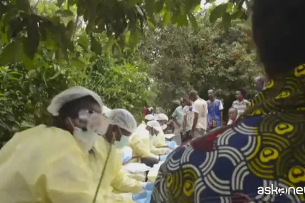 Virus ebola in Africa, Oms: emergenza sanitaria internazionale