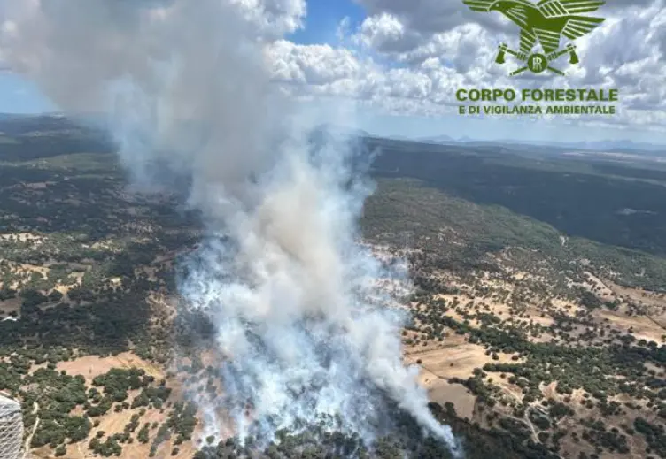 L'incendio a Buddusò (foto vigili del fuoco)