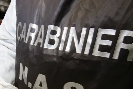 Carabinieri del Nas, raffica di controlli a Cagliari, Oristano e Sud Sardegna (foto Ansa)