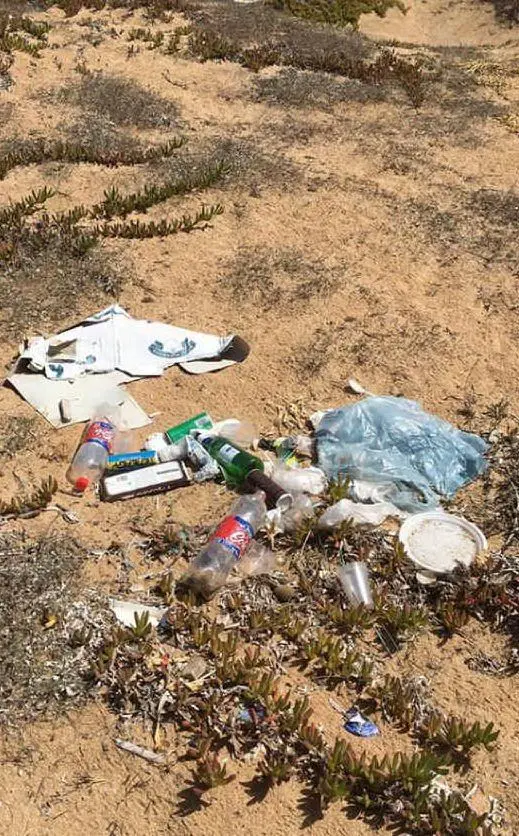 I rifiuti trovati sulla spiaggia di Pistis
