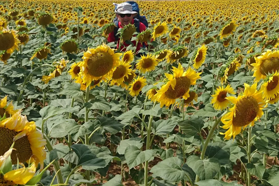 Un’immagine della mostra “I cammini del dottor Marini”
